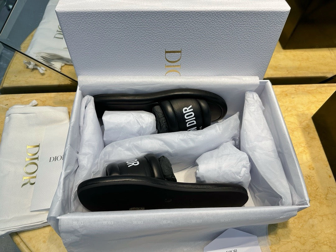 디올 에브리 디 뮬