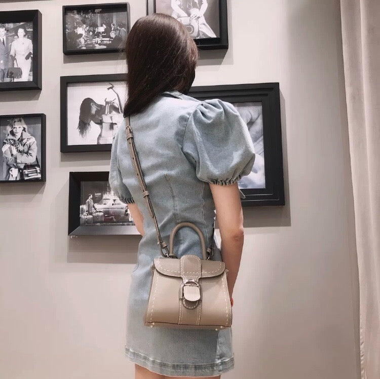 델보 브리앙 미니 로데오 스티치