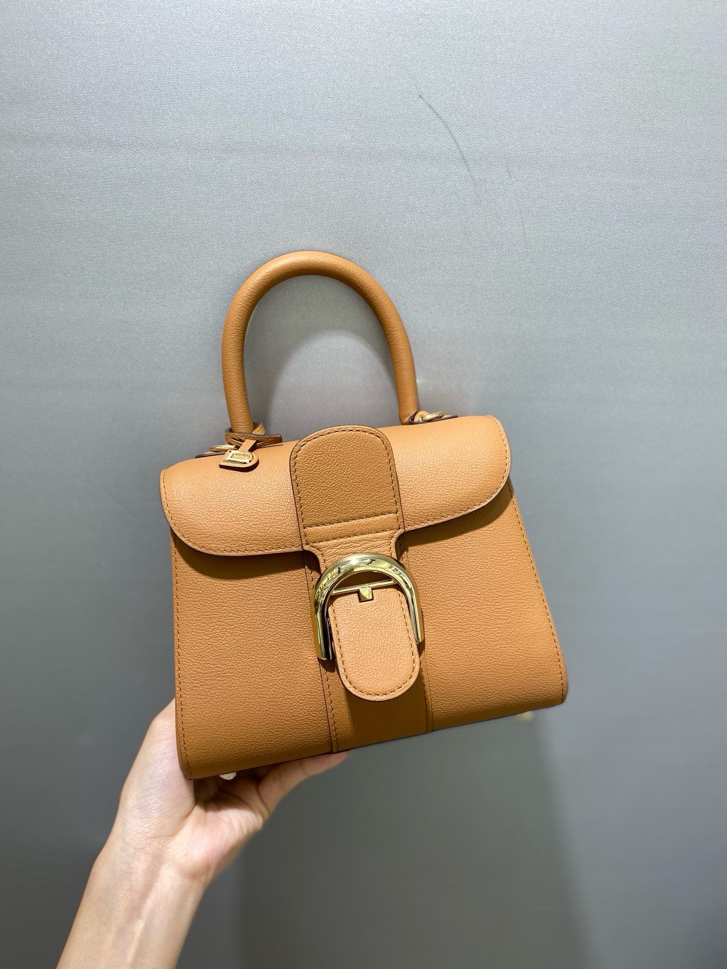 델보 브리앙 미니 로데오 카프