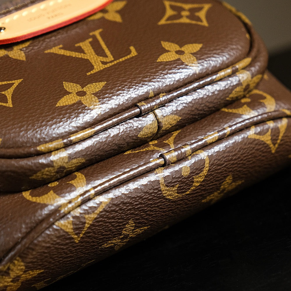 루이비통 모노그램 범백 미니