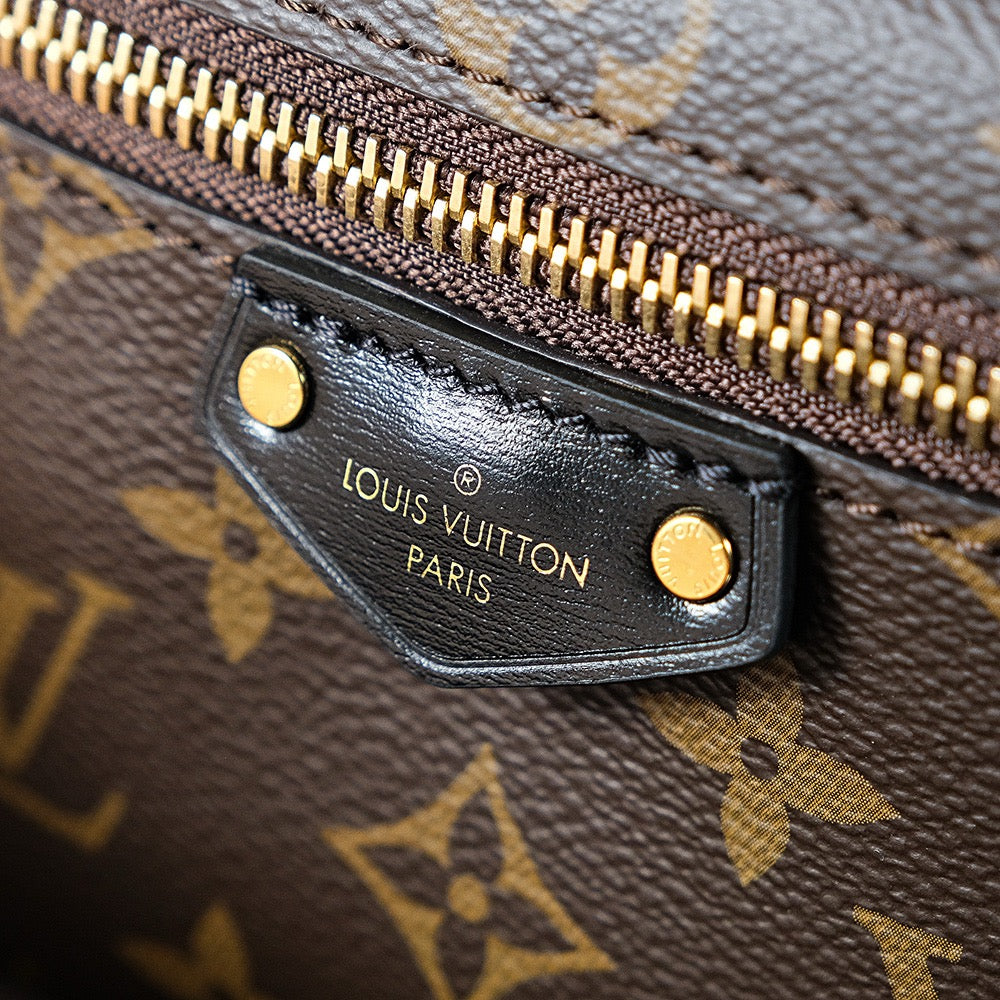 루이비통 베니티 체인 파우치