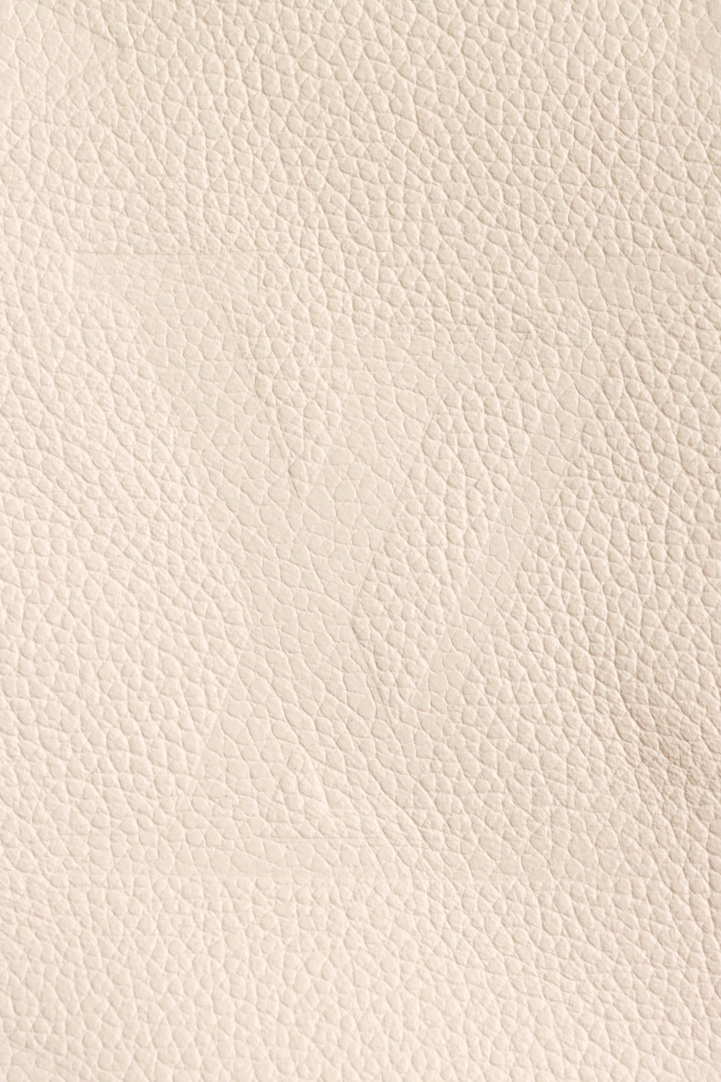 루이비통 앙프렝뜨 캐리올 PM