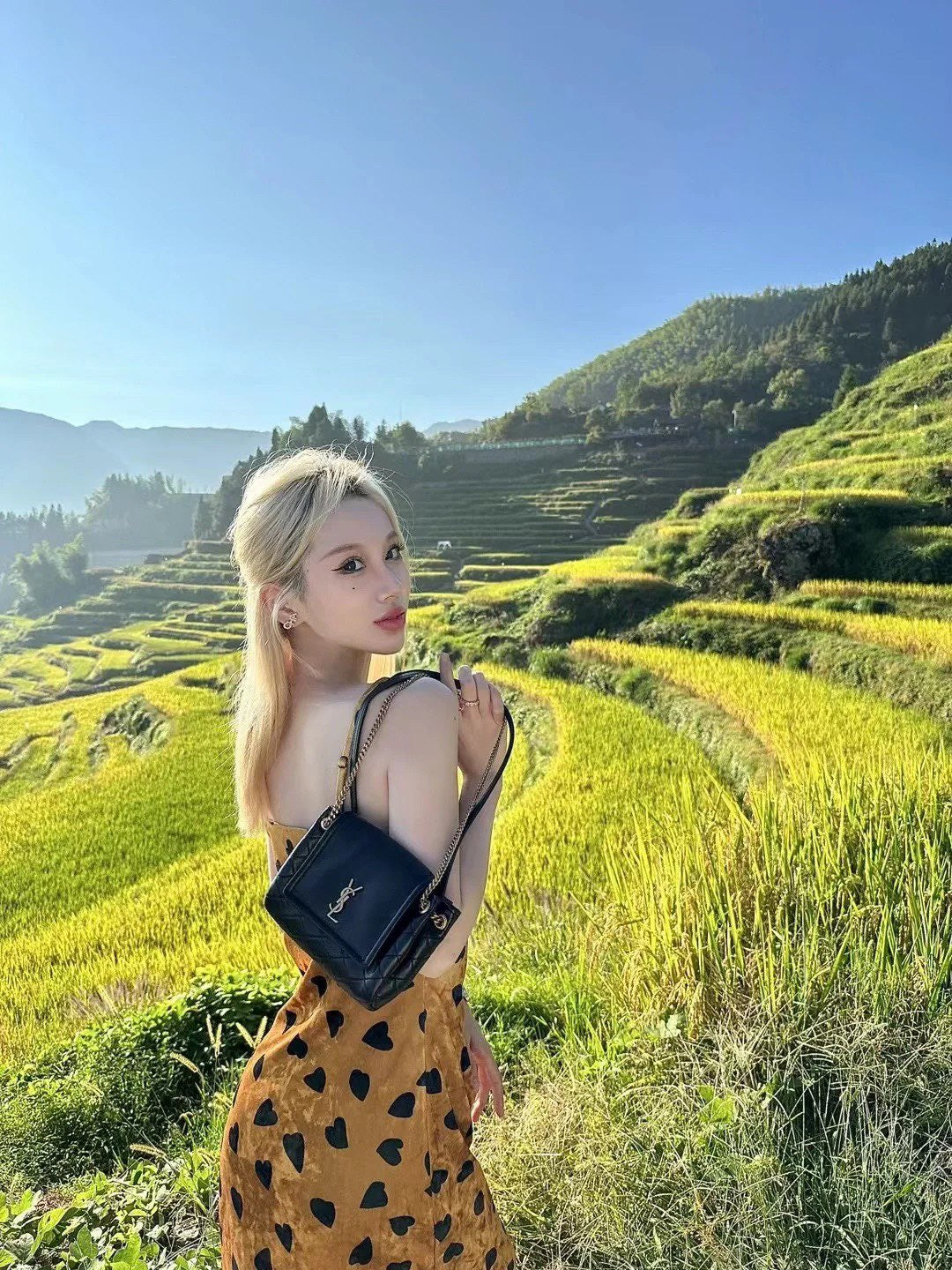 생로랑 노리타 미니