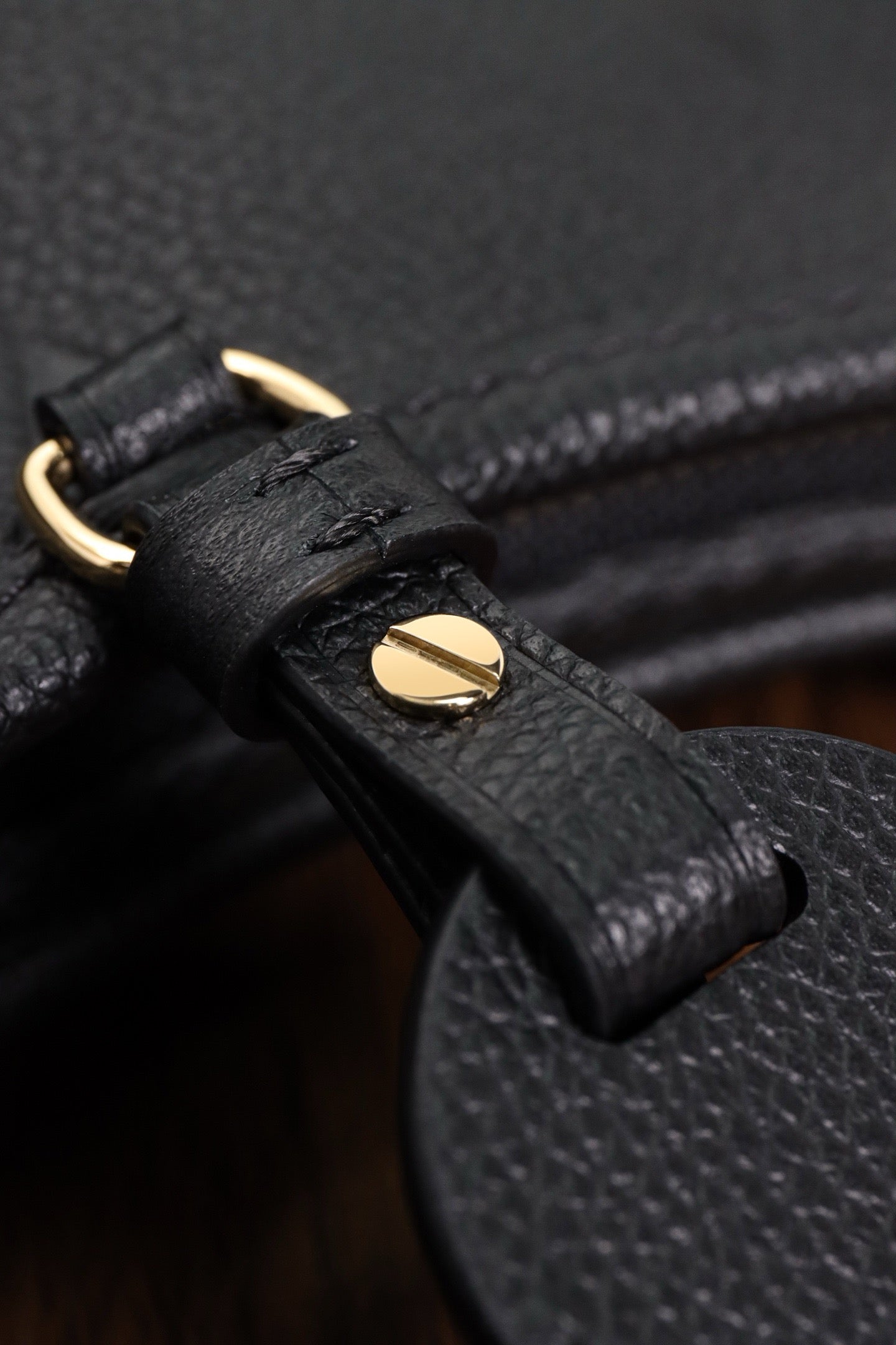 루이비통 앙프렝뜨 캐리올 PM