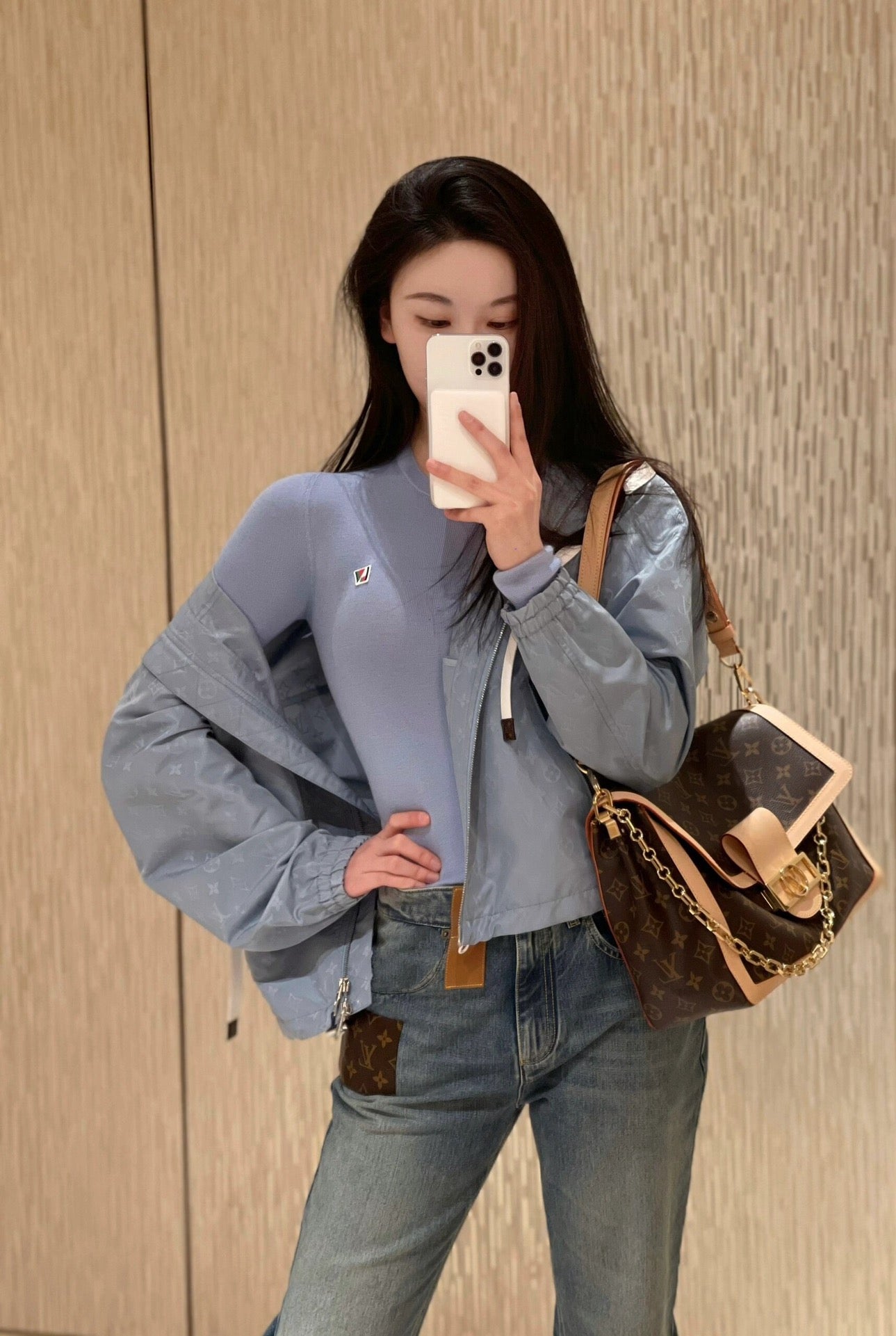 루이비통 도핀 소프트 GM