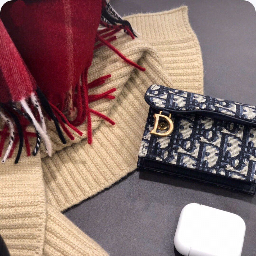 디올 새들 플랩 오블리크 카드