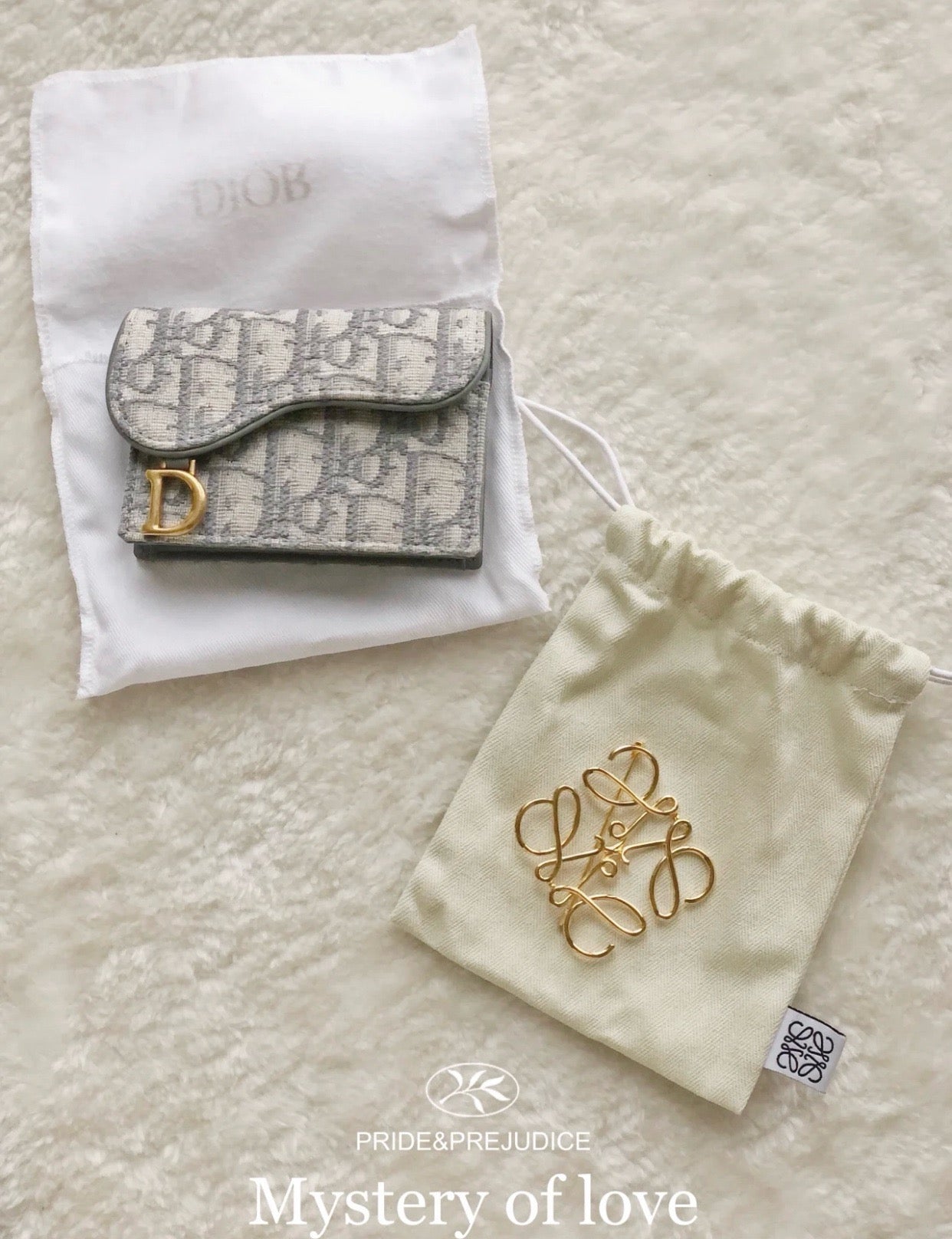 디올 새들 플랩 오블리크 카드