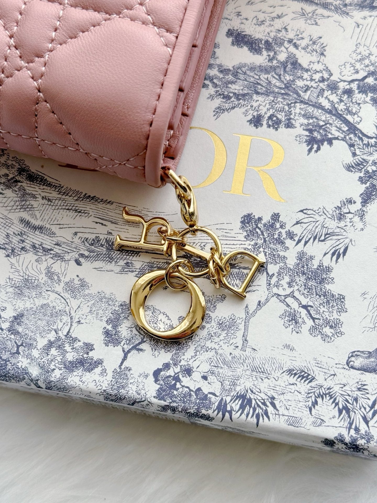 디올 레이디 반지갑