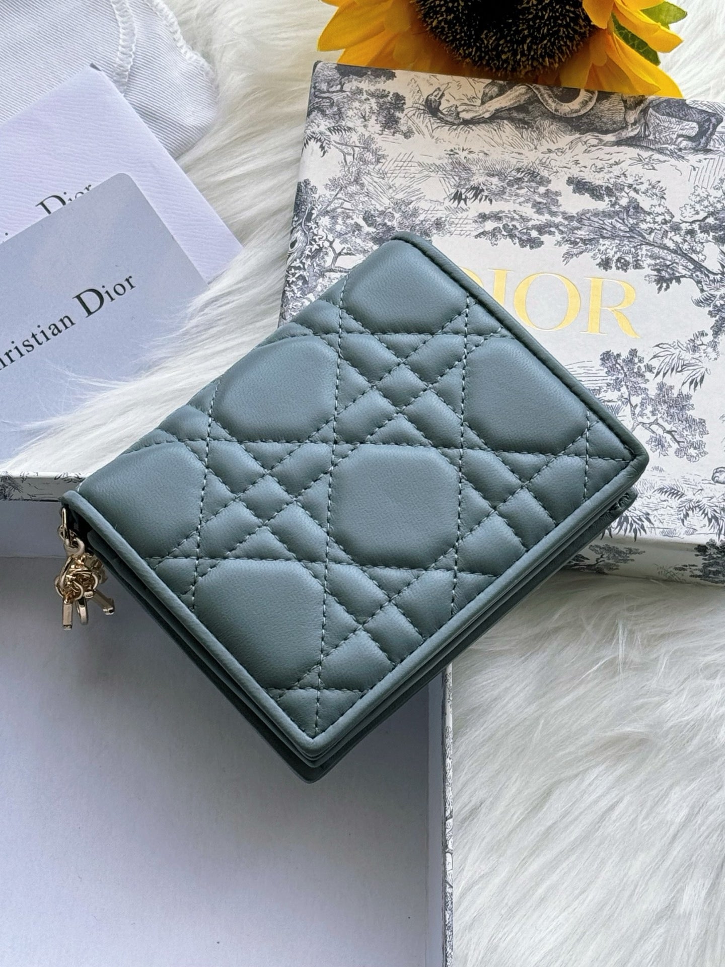 디올 레이디 반지갑