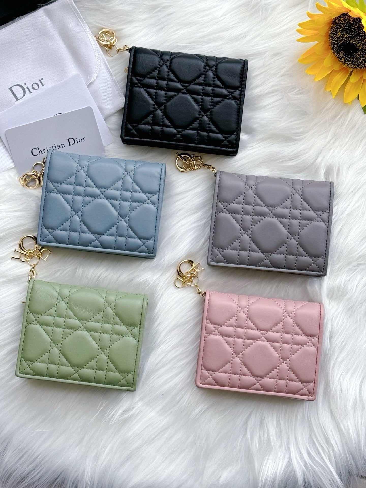 디올 레이디 반지갑