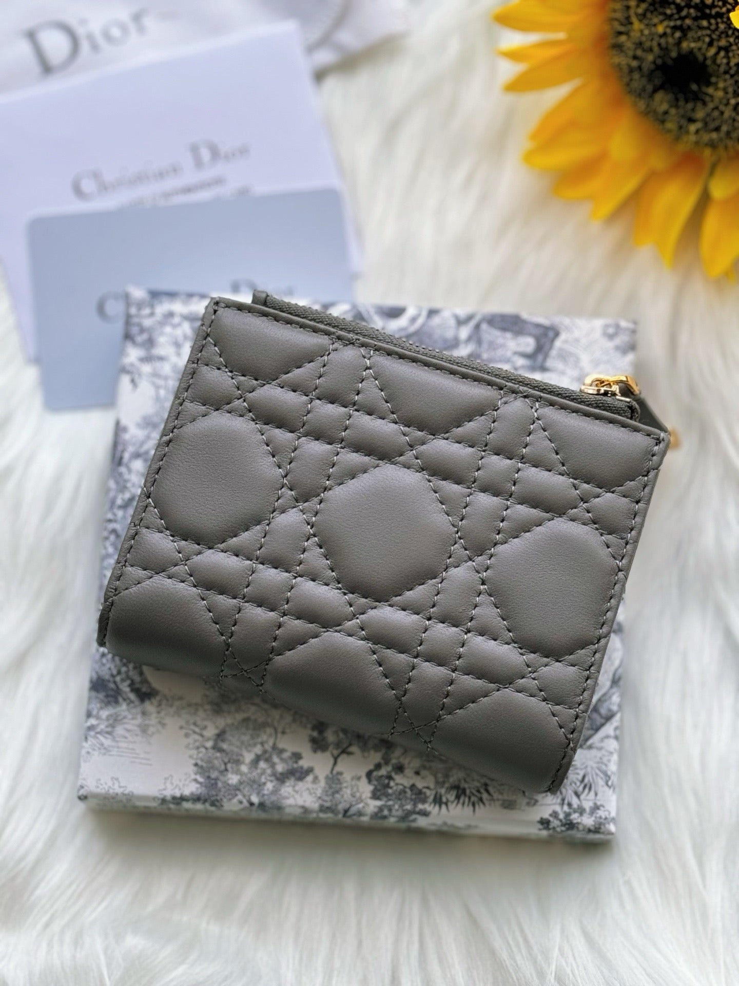 디올 카로 달리아 지갑