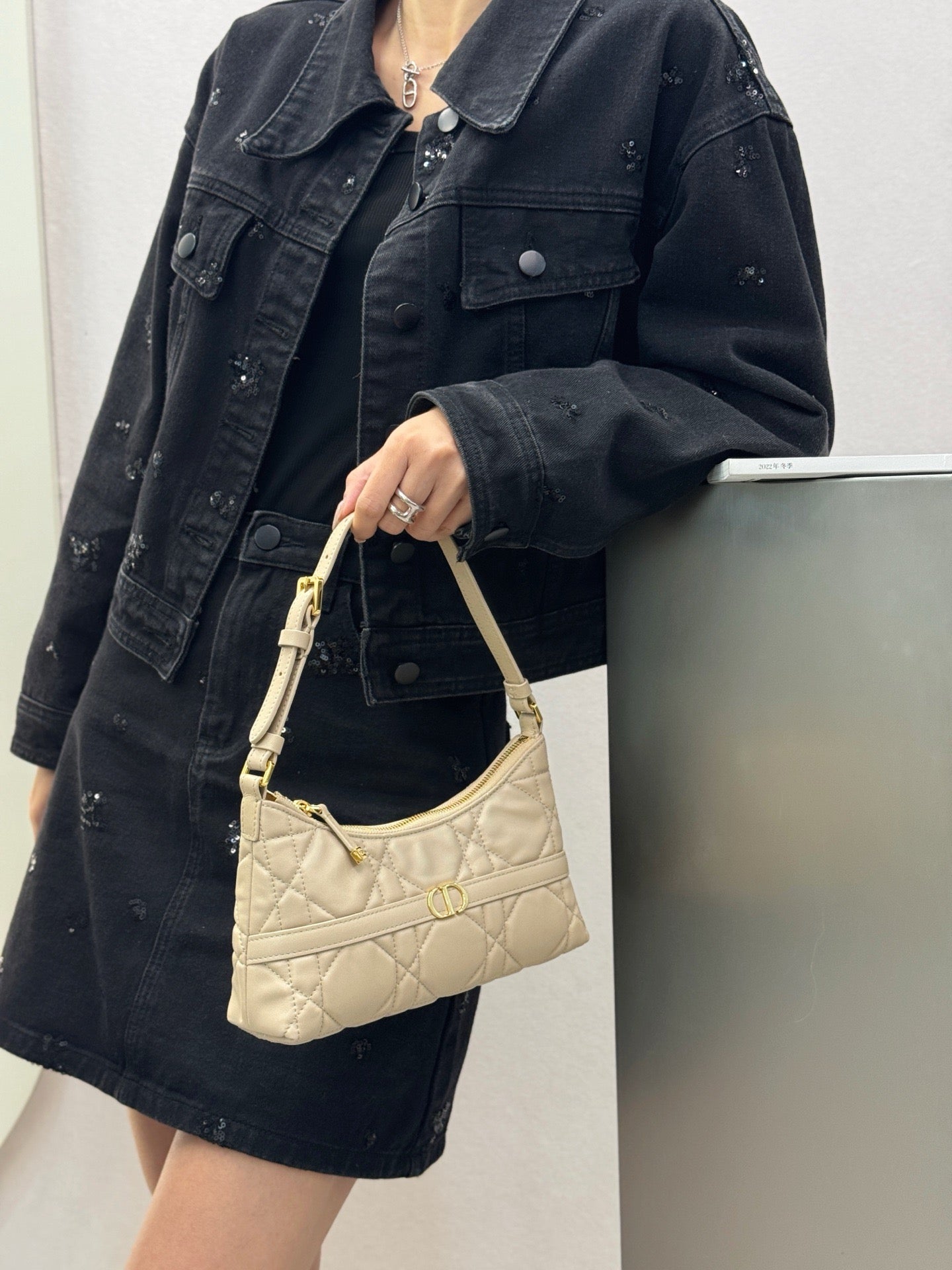 디올 Miss Caro Cigale 미니 백