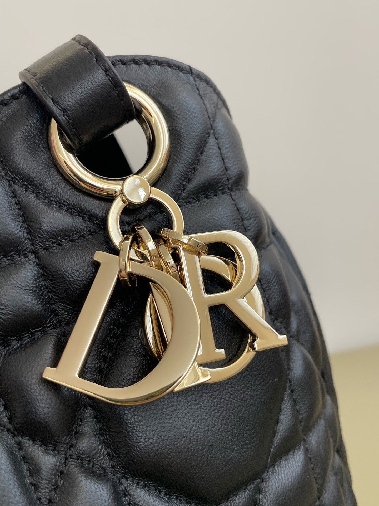 디올 D-Motion 스몰 백