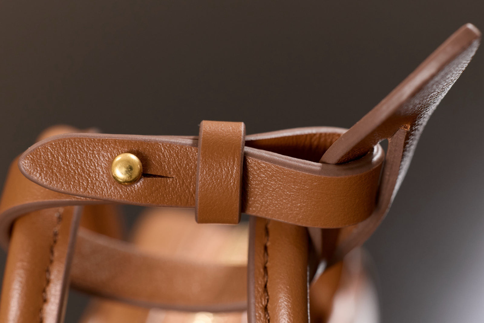 미우미우 아르카디 마이크로 백 (브라운)