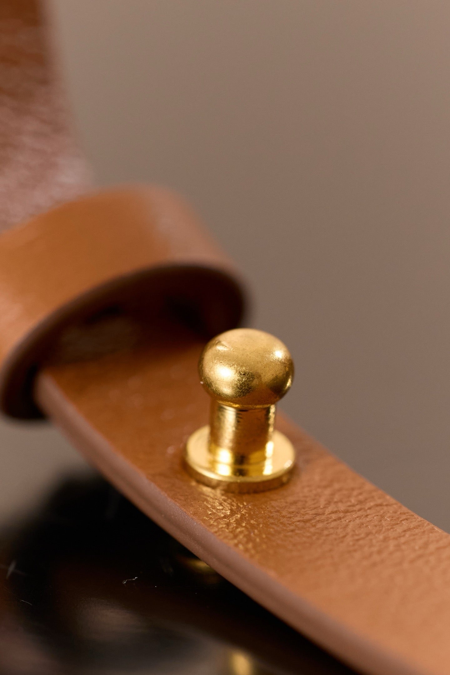 미우미우 아르카디 마이크로 백 (브라운)