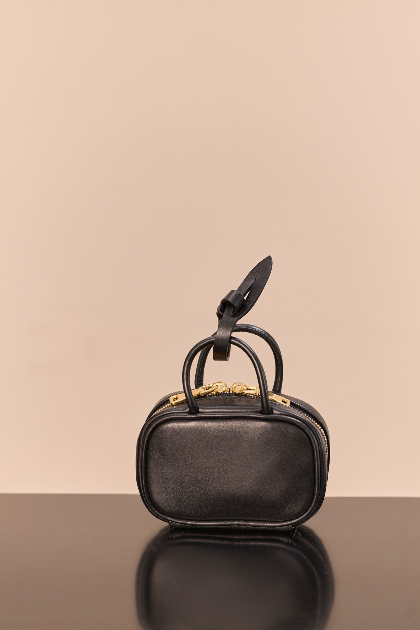 미우미우 아르카디 마이크로 백