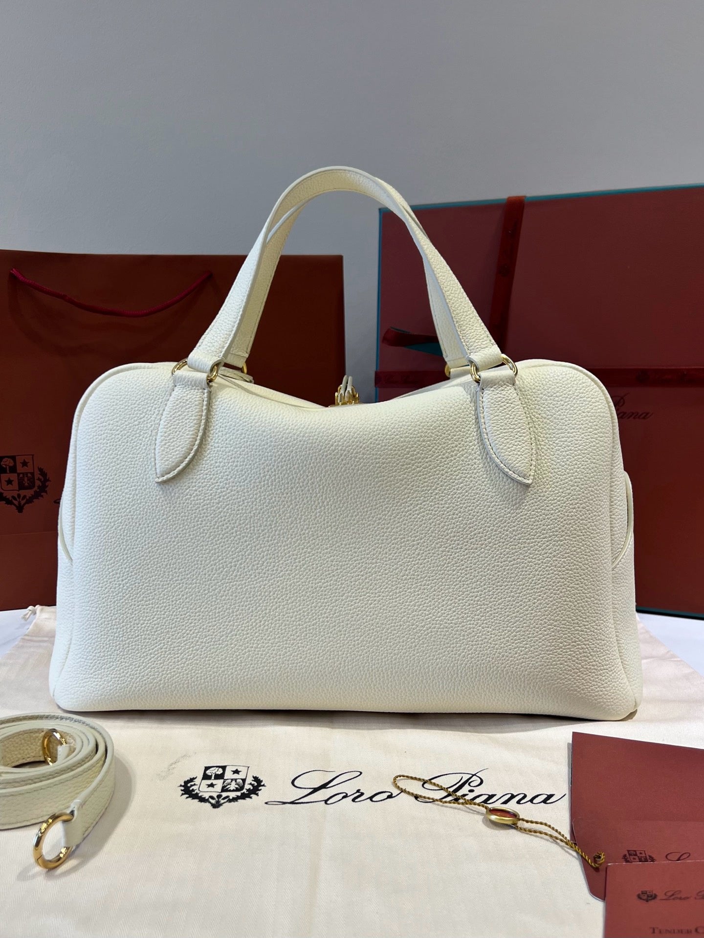 로로피아나 니들 미디움 백