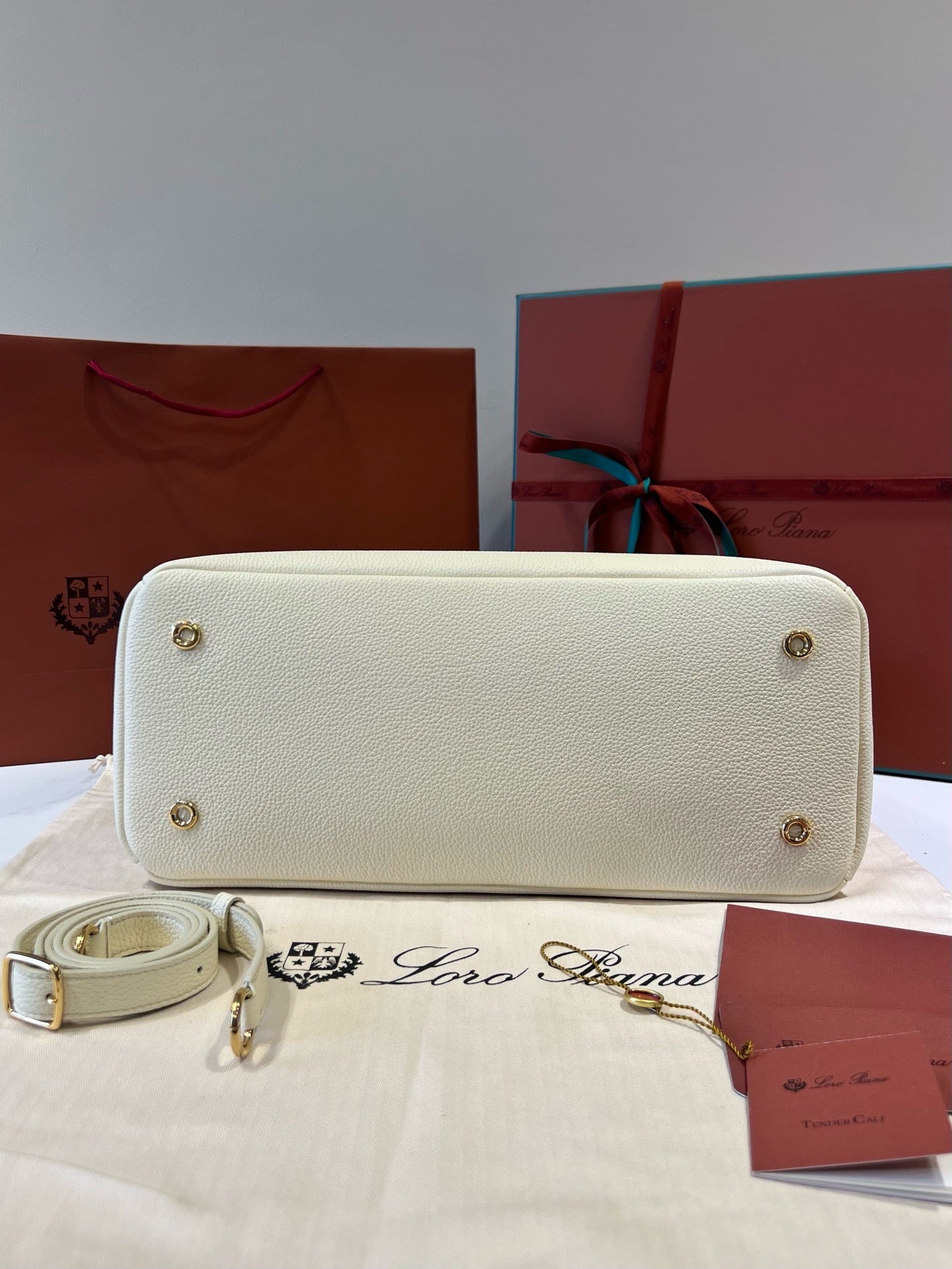 로로피아나 니들 미디움 백