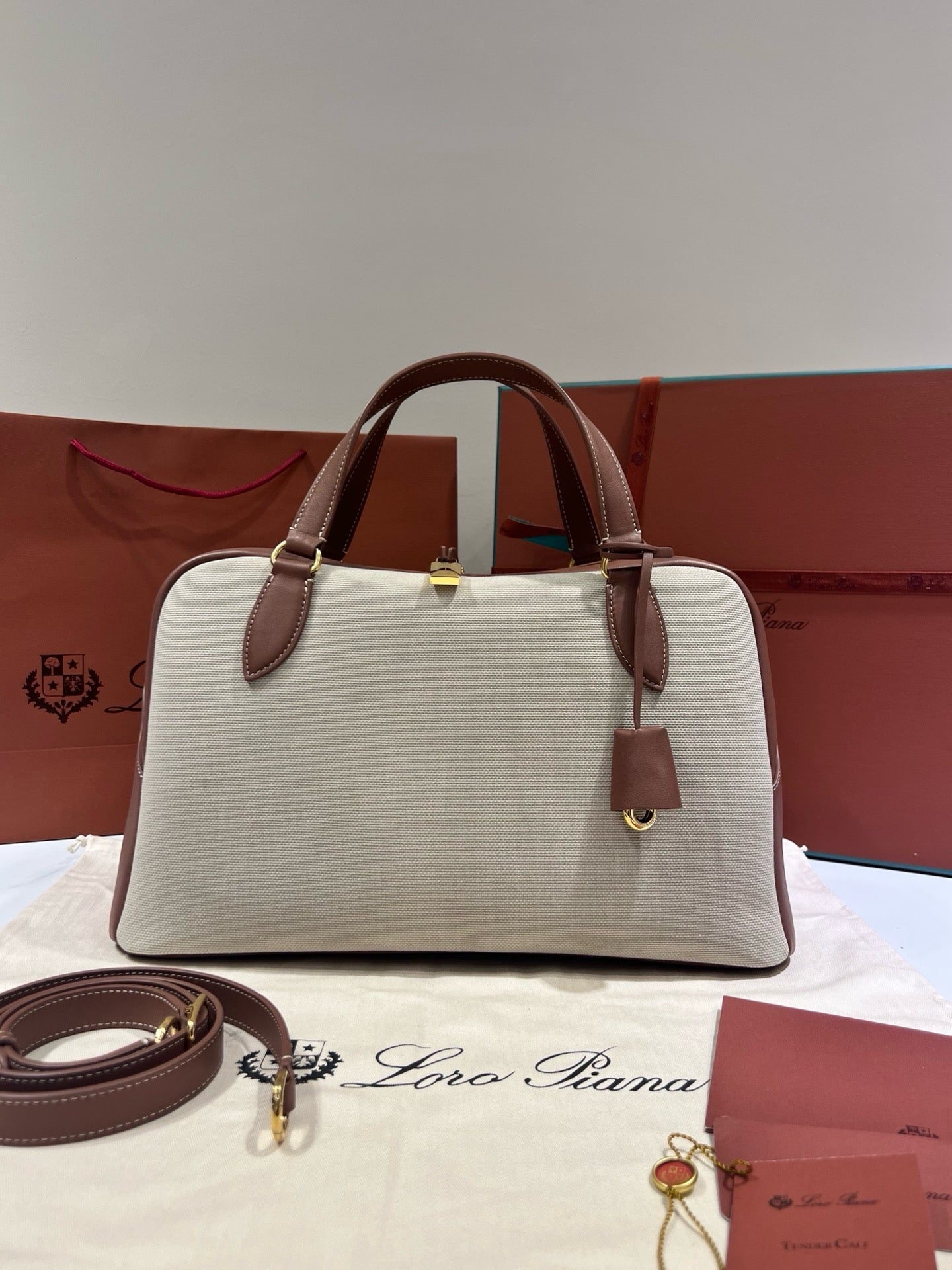 로로피아나 니들 미디움 백