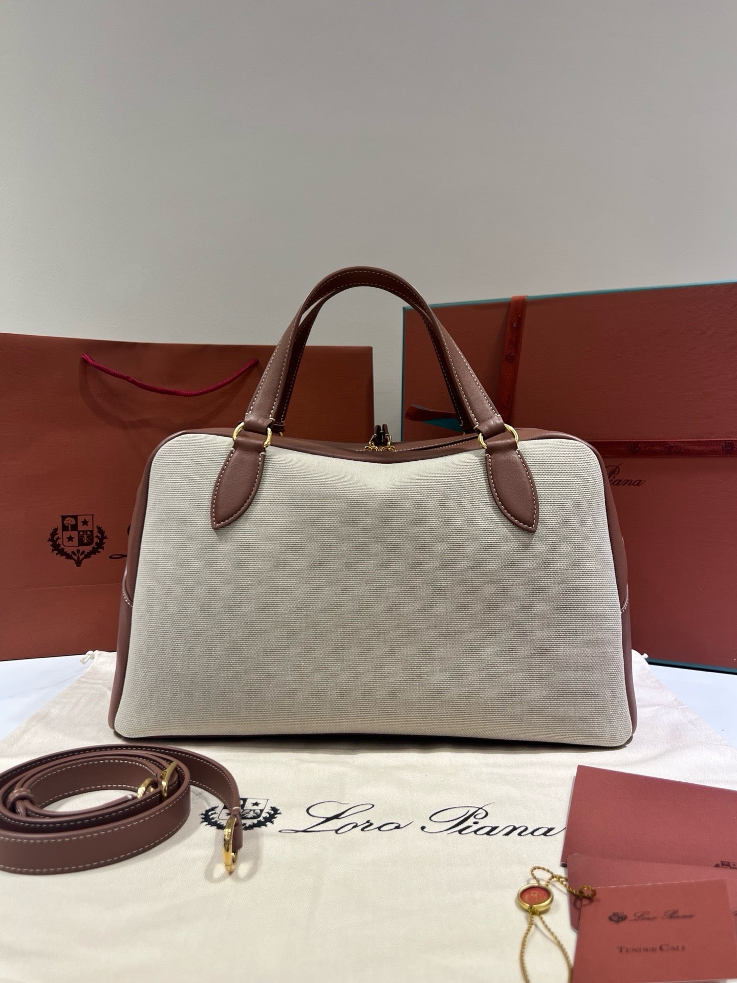 로로피아나 니들 미디움 백