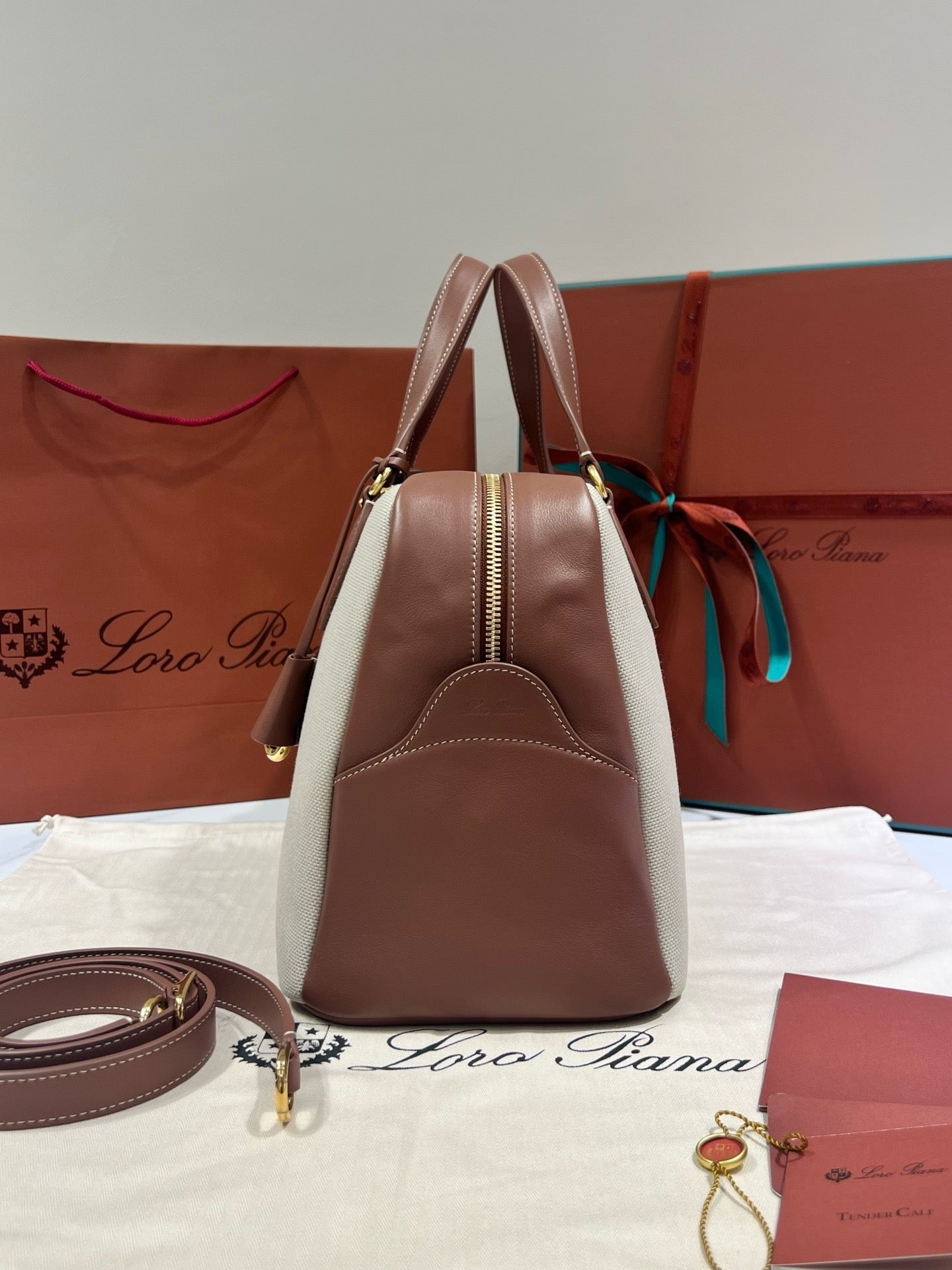 로로피아나 니들 미디움 백