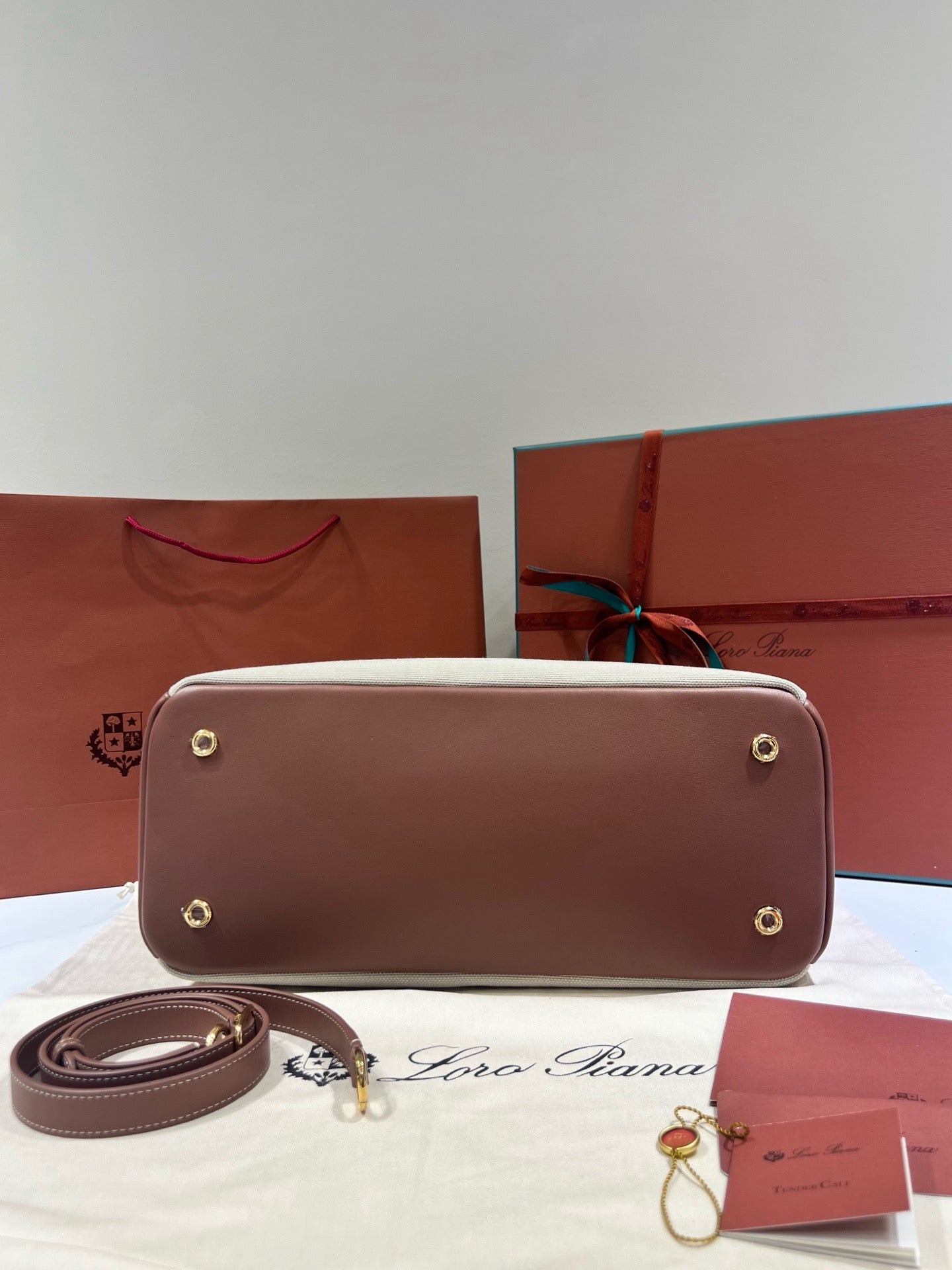 로로피아나 니들 미디움 백