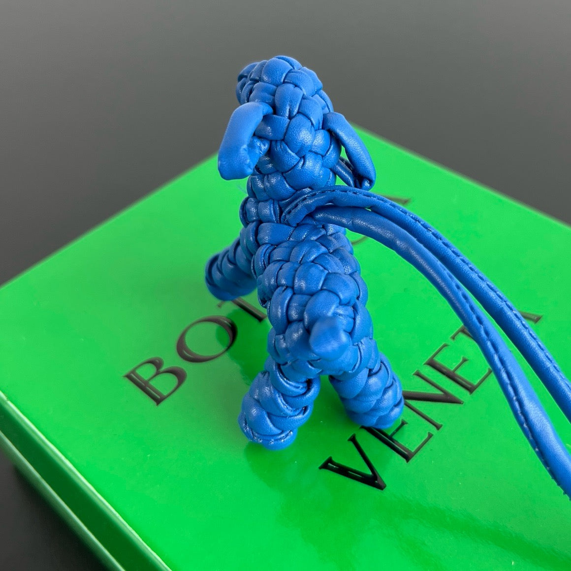 보테가 베네타 도그 백참