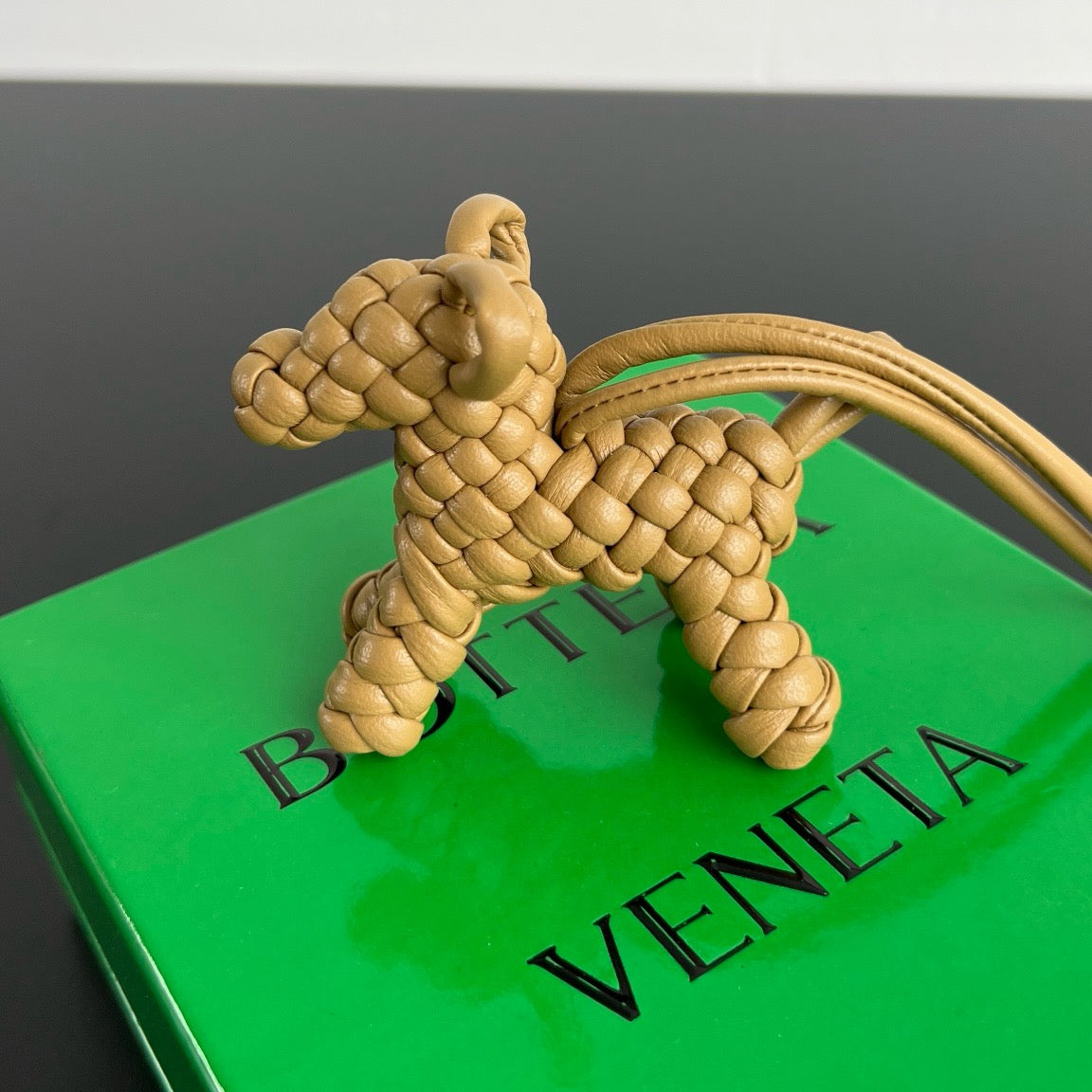 보테가 베네타 도그 백참