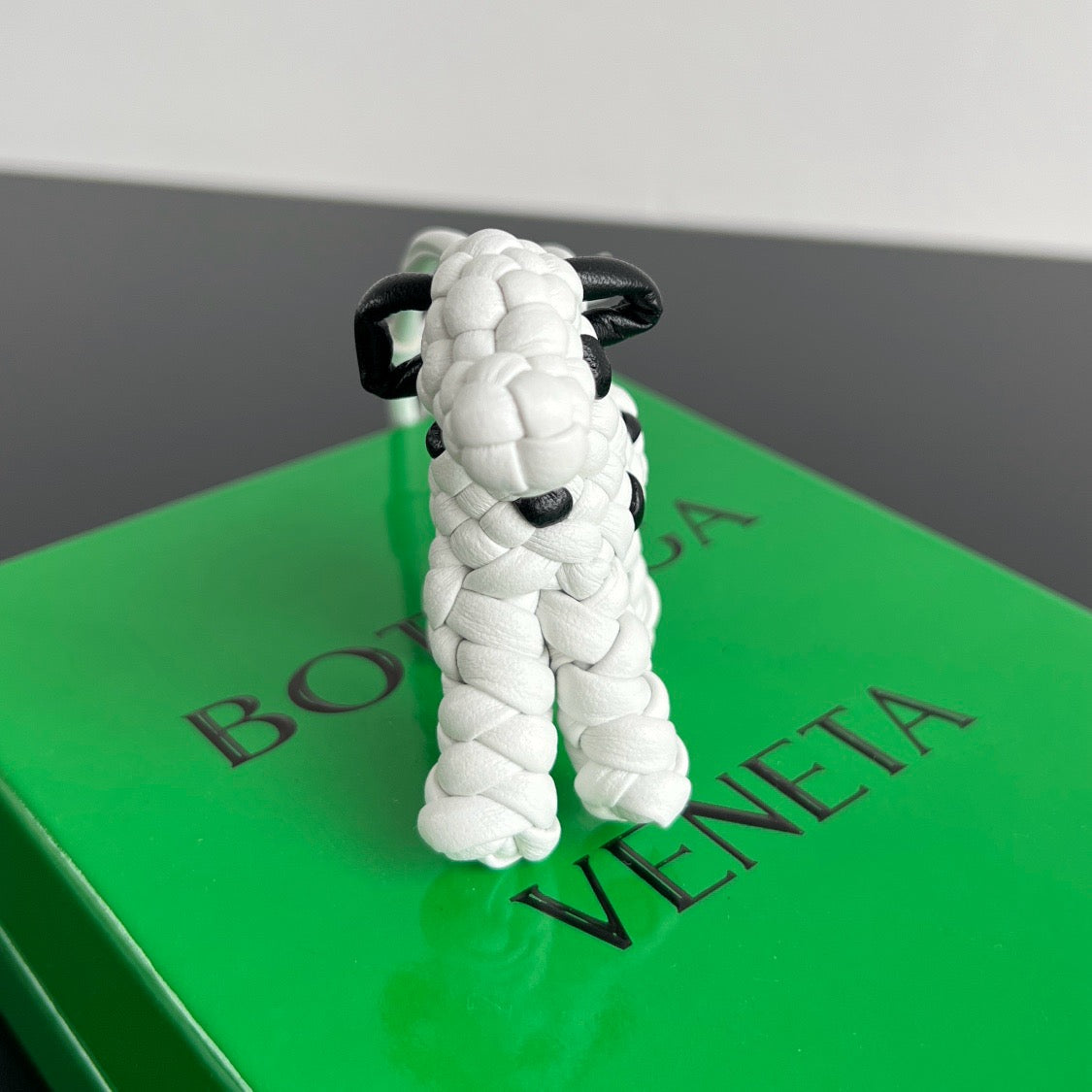 보테가 베네타 도그 백참