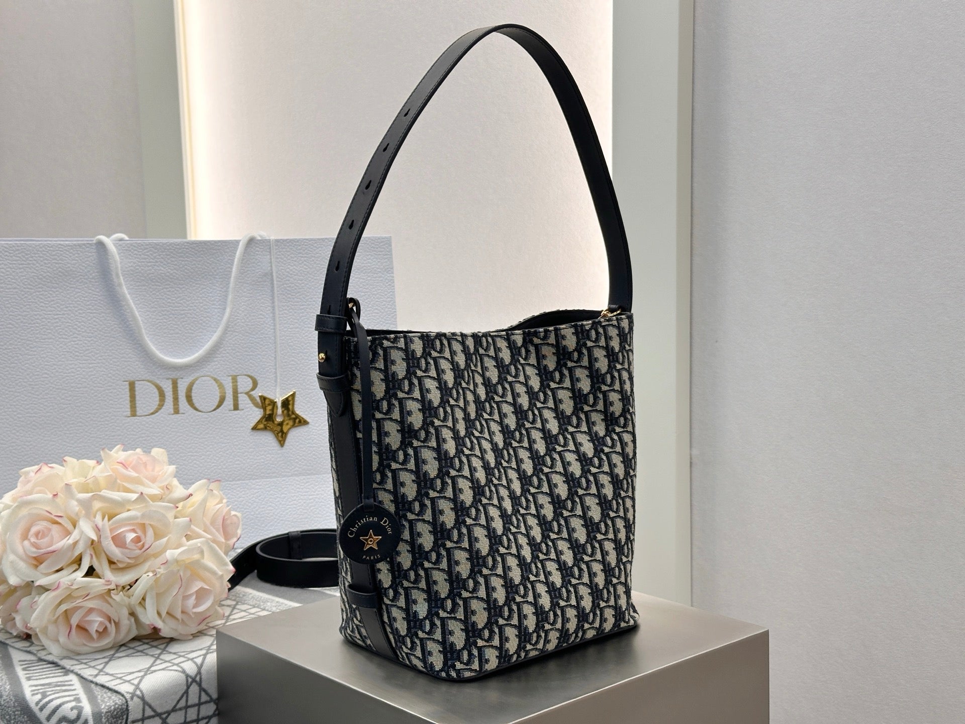 디올 스타 스몰 버킷백