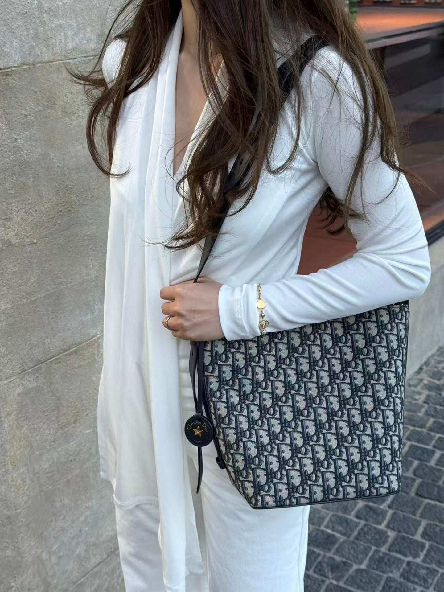 디올 스타 스몰 버킷백