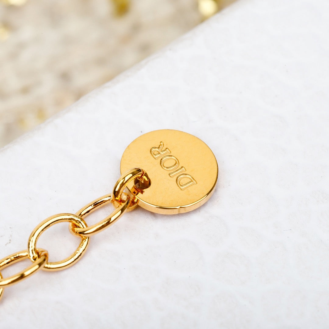 디올 evolution 브레이슬릿