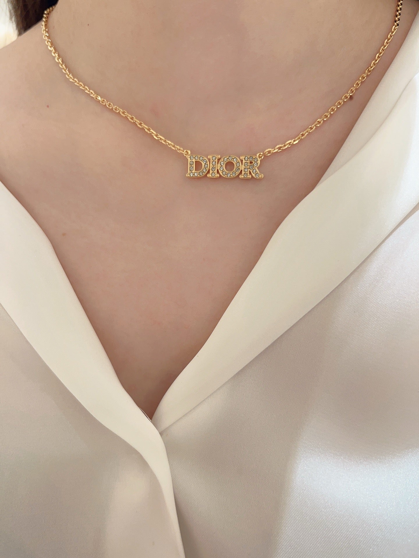 디올 evolution 네크리스