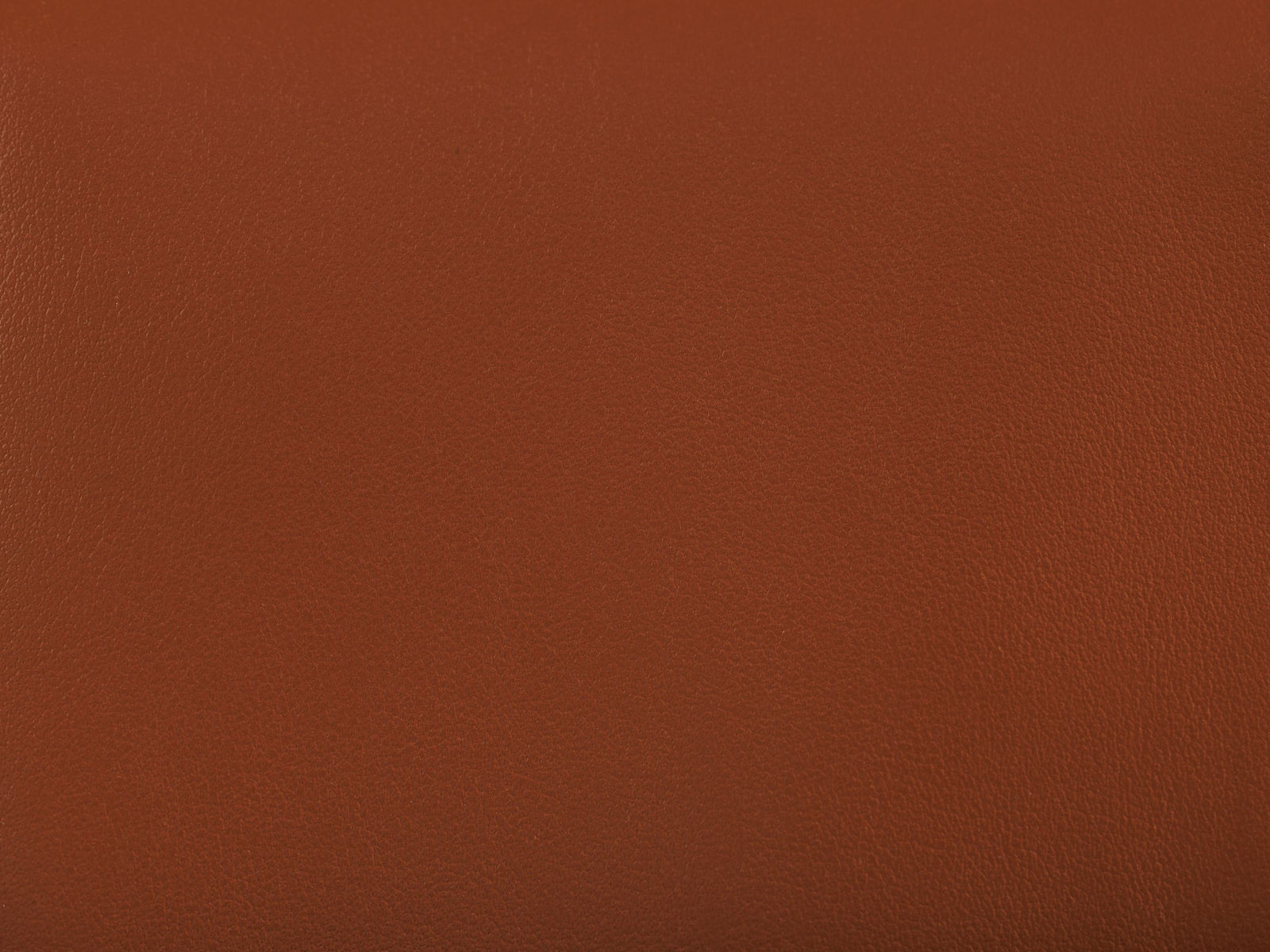 미우미우 가죽 숄더 지갑