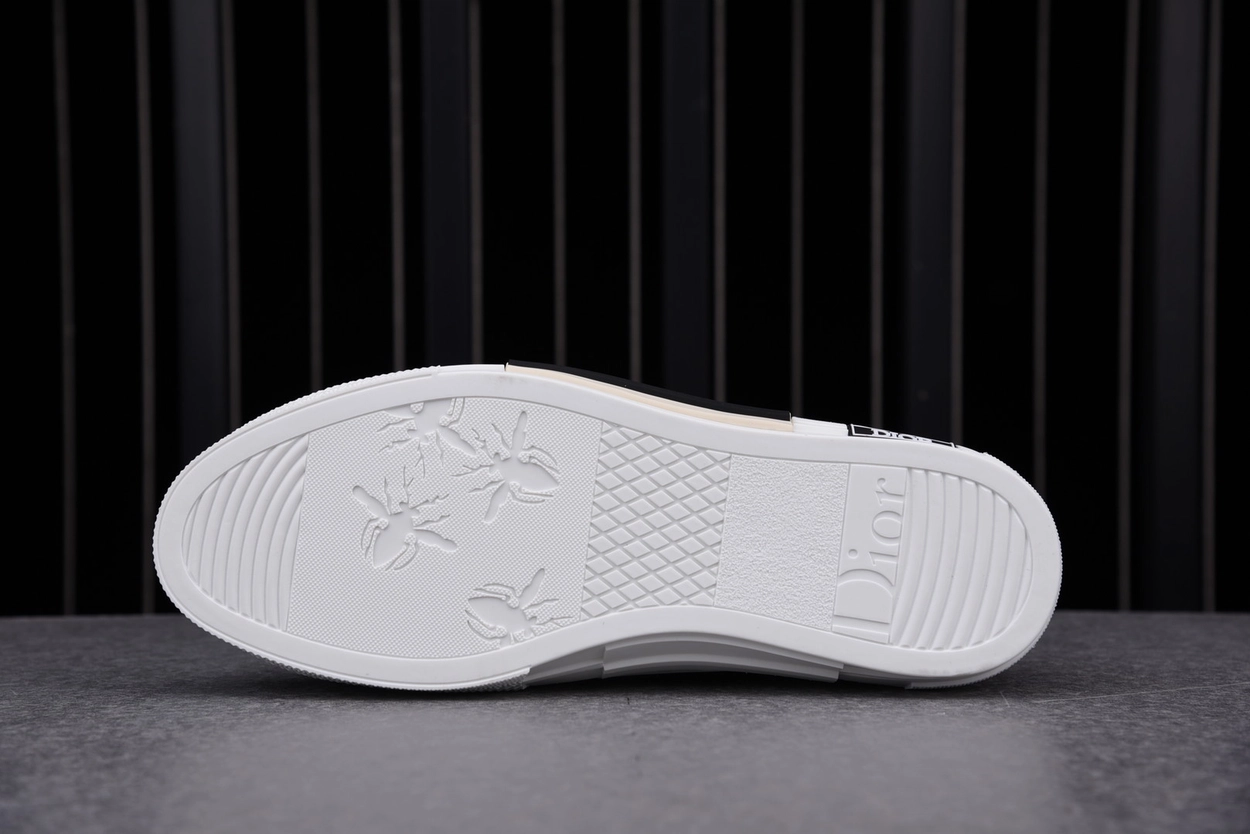 디올 B23 하이탑 스니커즈