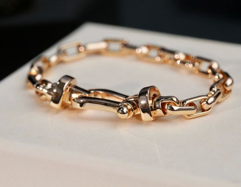 프레드 포스텐 링크 체인