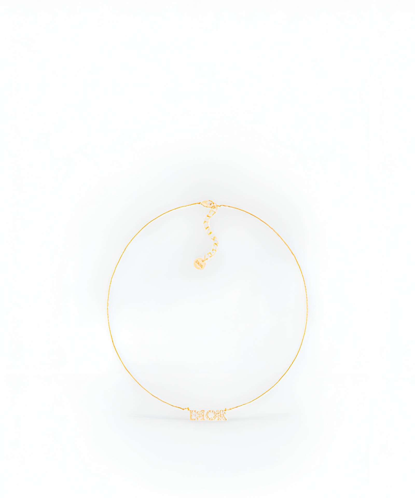 디올 evolution 네크리스