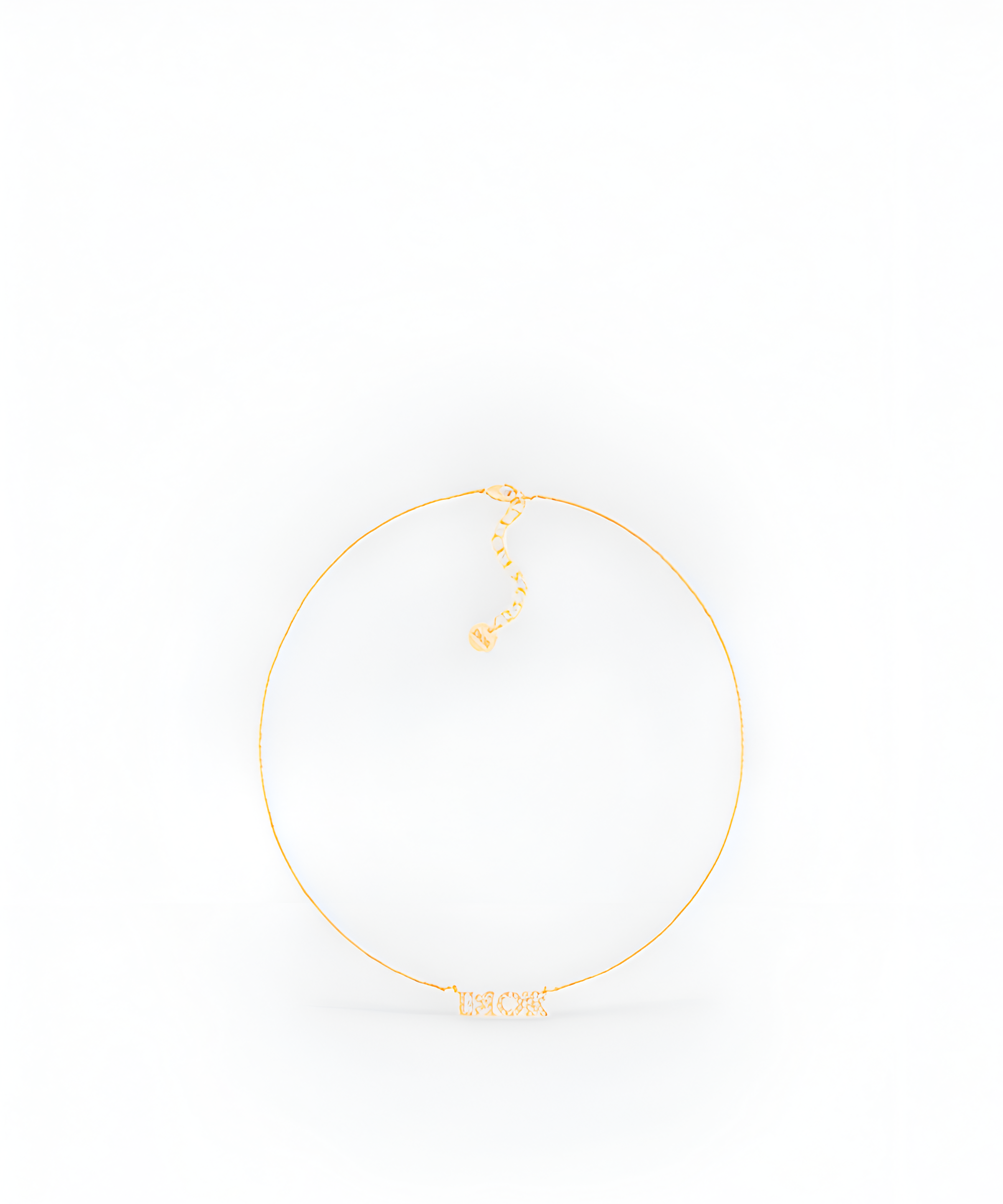 디올 evolution 네크리스