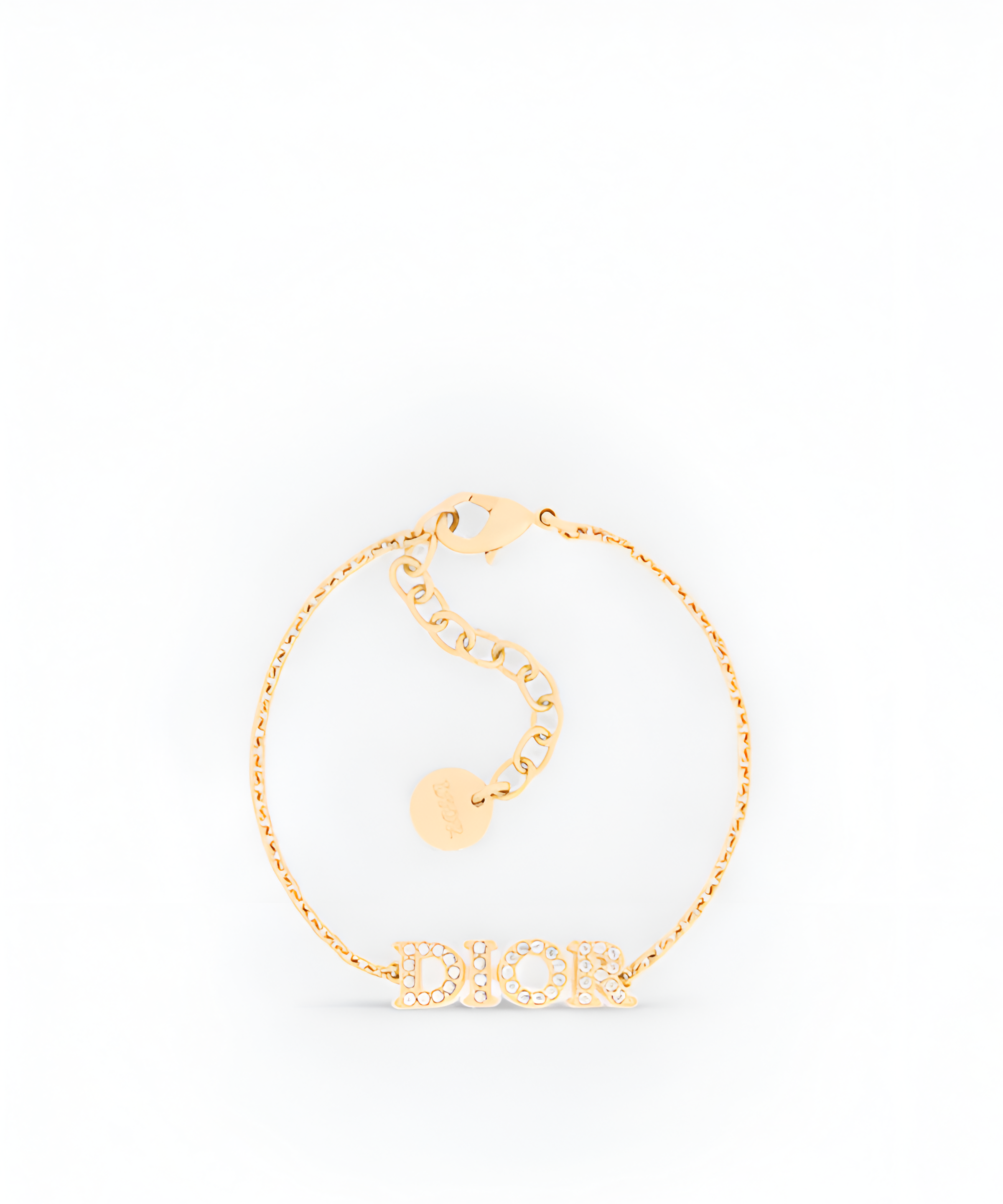 디올 evolution 브레이슬릿
