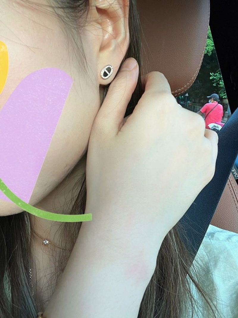 에르메스 Chaine d'ancre earrings