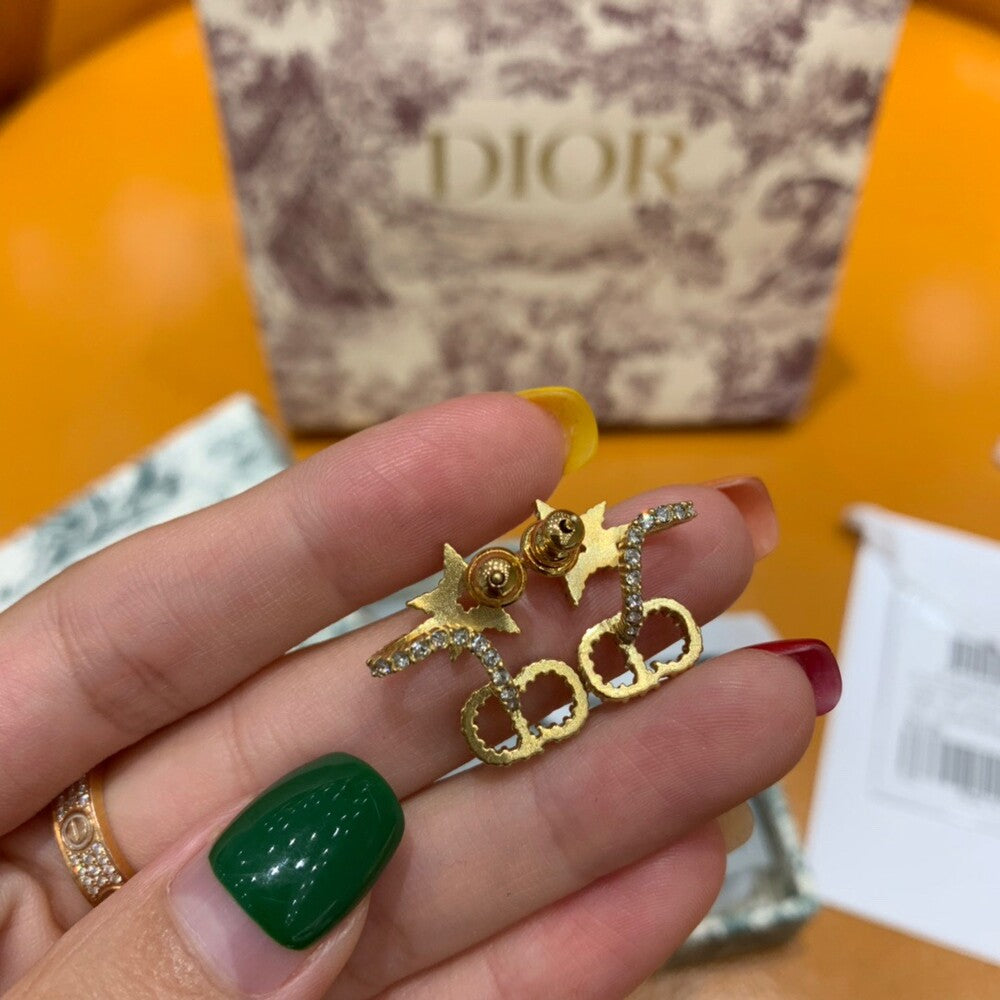 디올 귀걸이